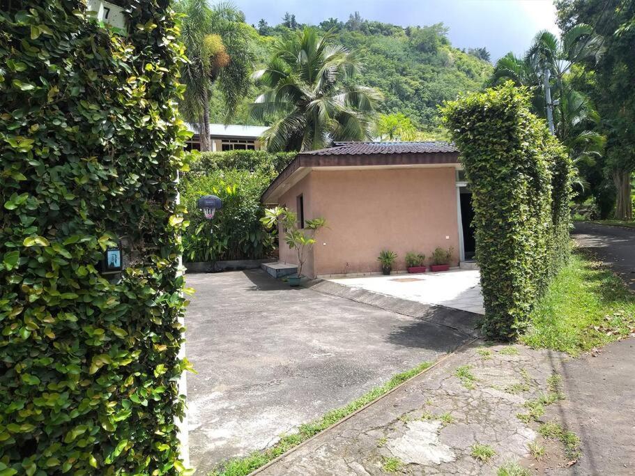 Vacation House In Tahiti Punaauia Kültér fotó